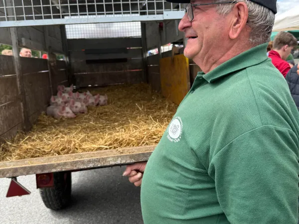 TOC-Fest 2026 2026 – Traktor-Oldtimer-Club Markt Hartmannsdorf, Foto 125